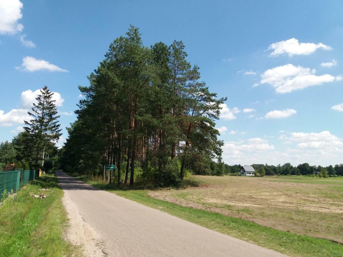 Siedlisko Nasza Chata Popiolki Luaran gambar